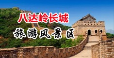 h免费看不下载中国北京-八达岭长城旅游风景区